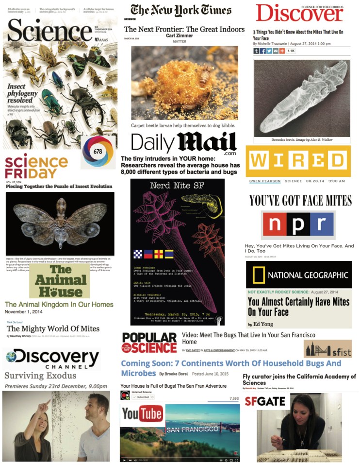 2015_review_in_pictures