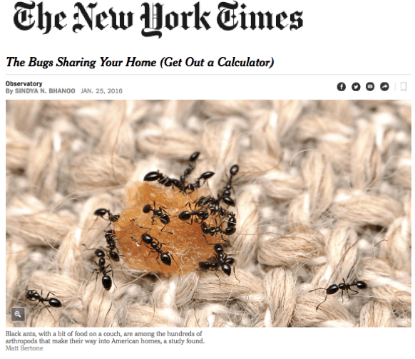 nytimes_bugsin houses