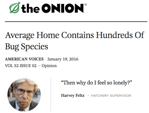 theonion_bugsin houses
