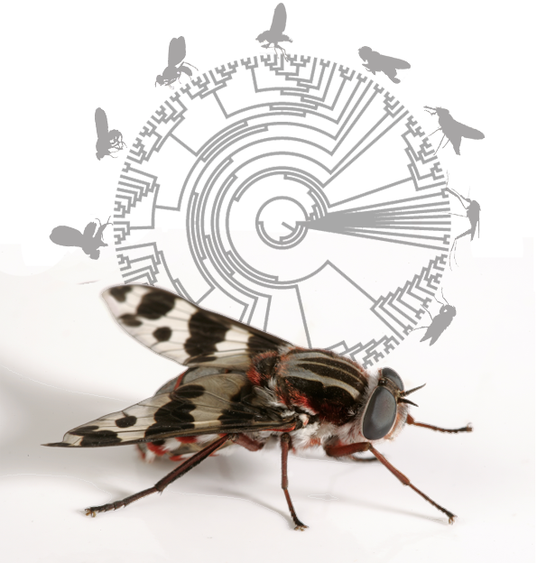 Michelle Trautwein Lab